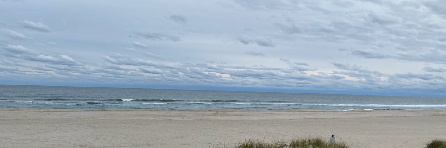 gadefreitaslee's profile banner image