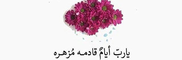 amany95__'s profile banner image