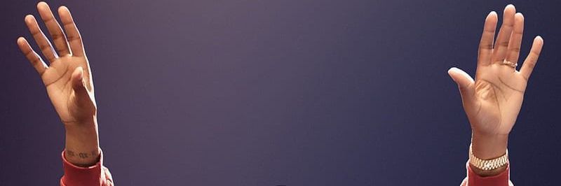 ヅPaul banner