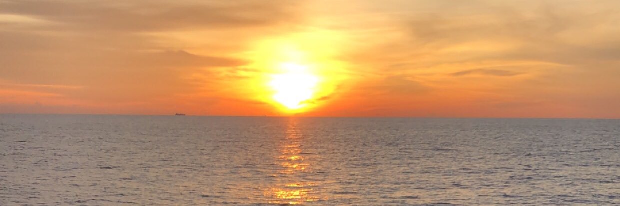 alliisonholcomb's profile banner image