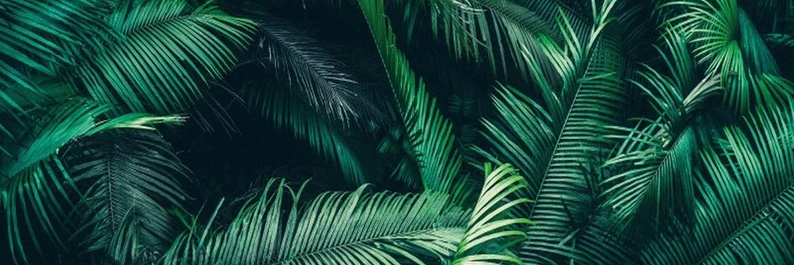IAmMrsTexas's profile banner image