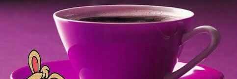 dianiiscavazos's profile banner image