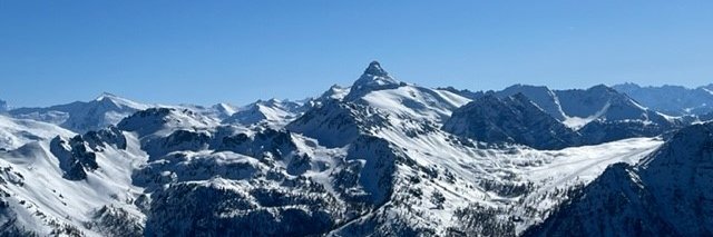 Tommaso Pellizzari banner