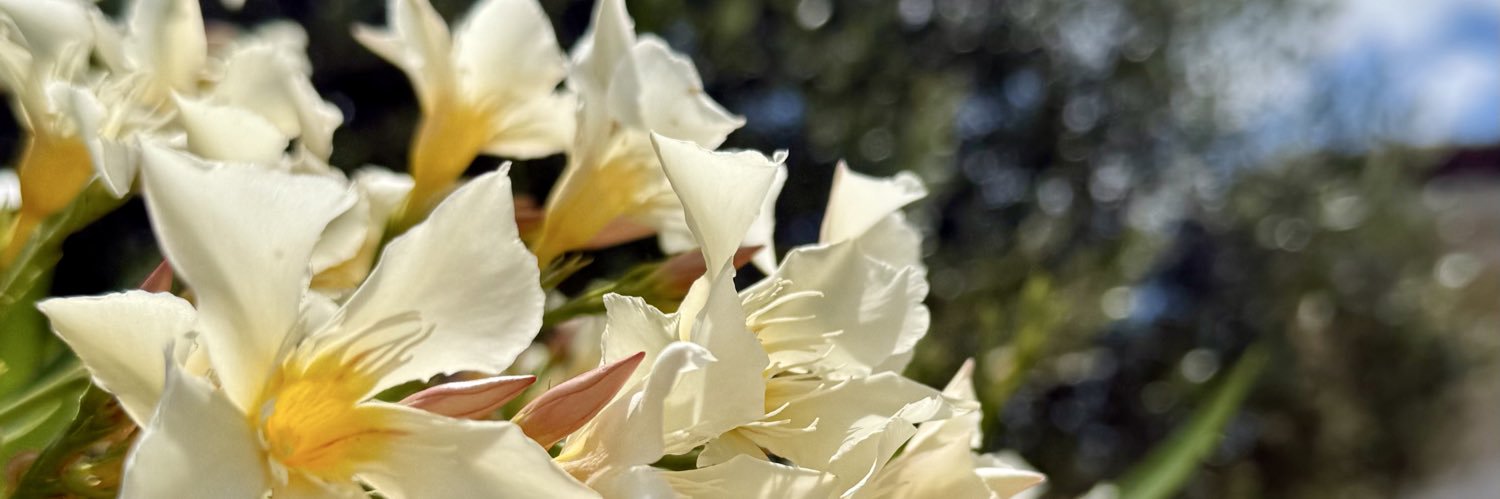 Brian_Bayle's profile banner image