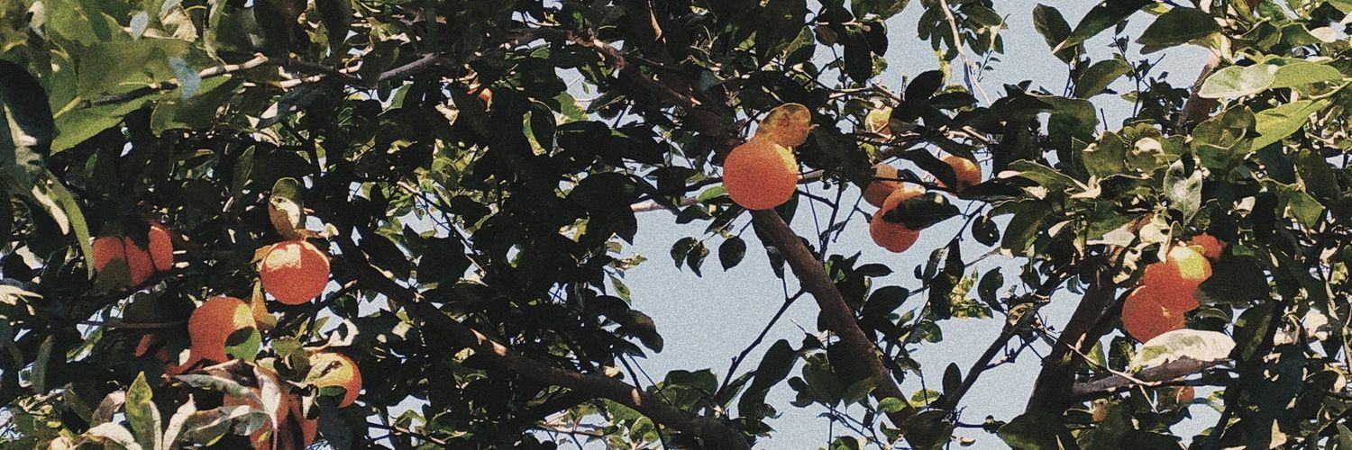 omachadofael's profile banner image