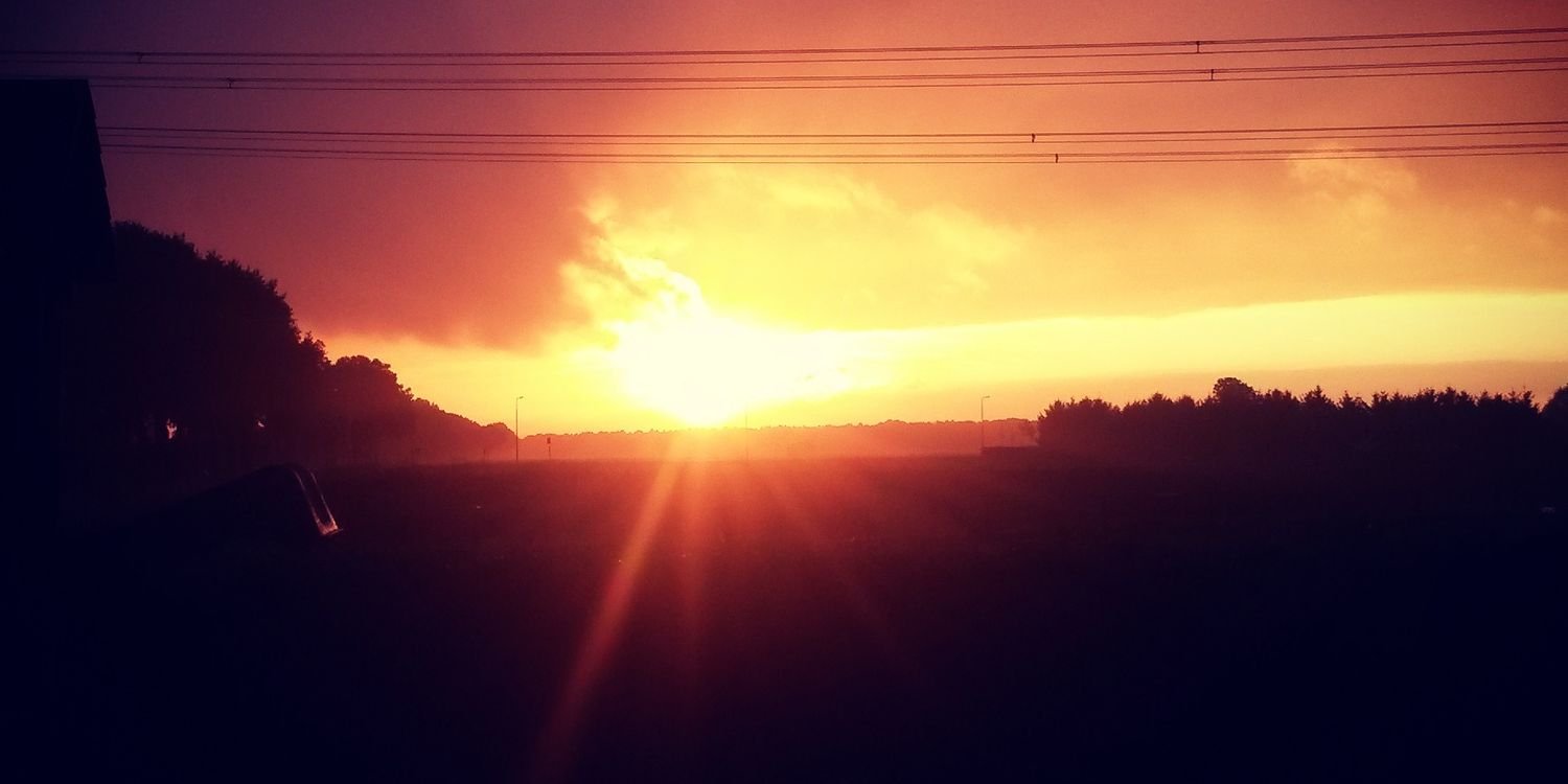 Danielle Baetsen banner