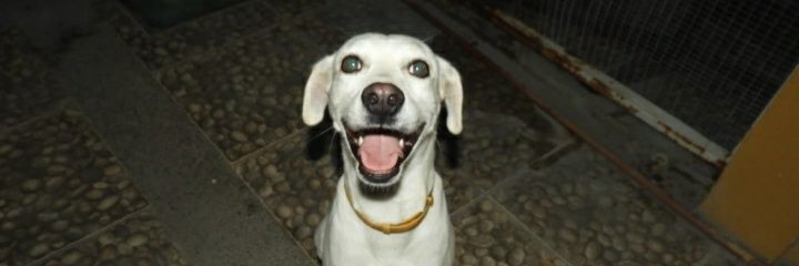 EdelmarYepez's profile banner image