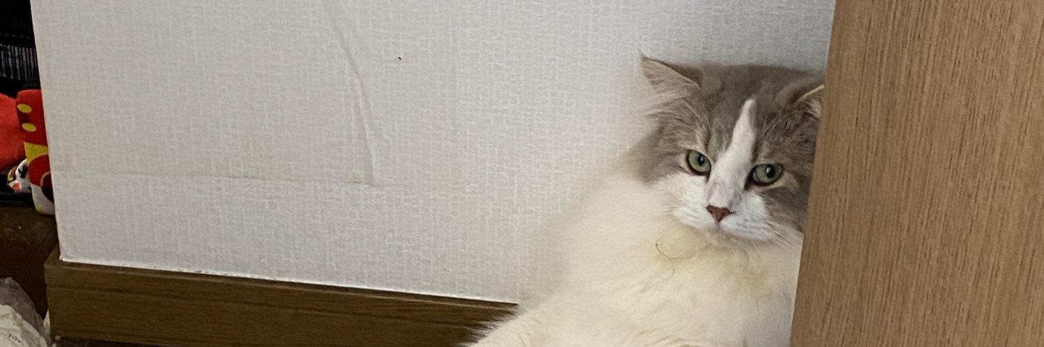 nisk_c9's profile banner image