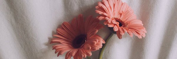 ileanaslife Profile Banner