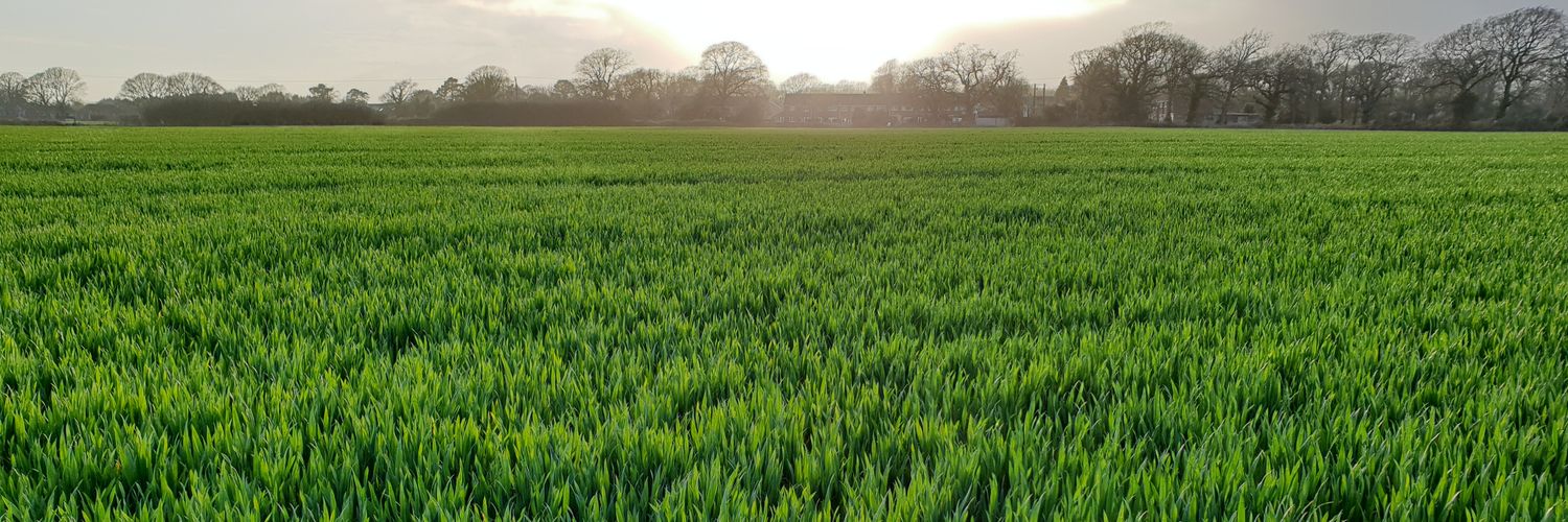 patricklismore's profile banner image