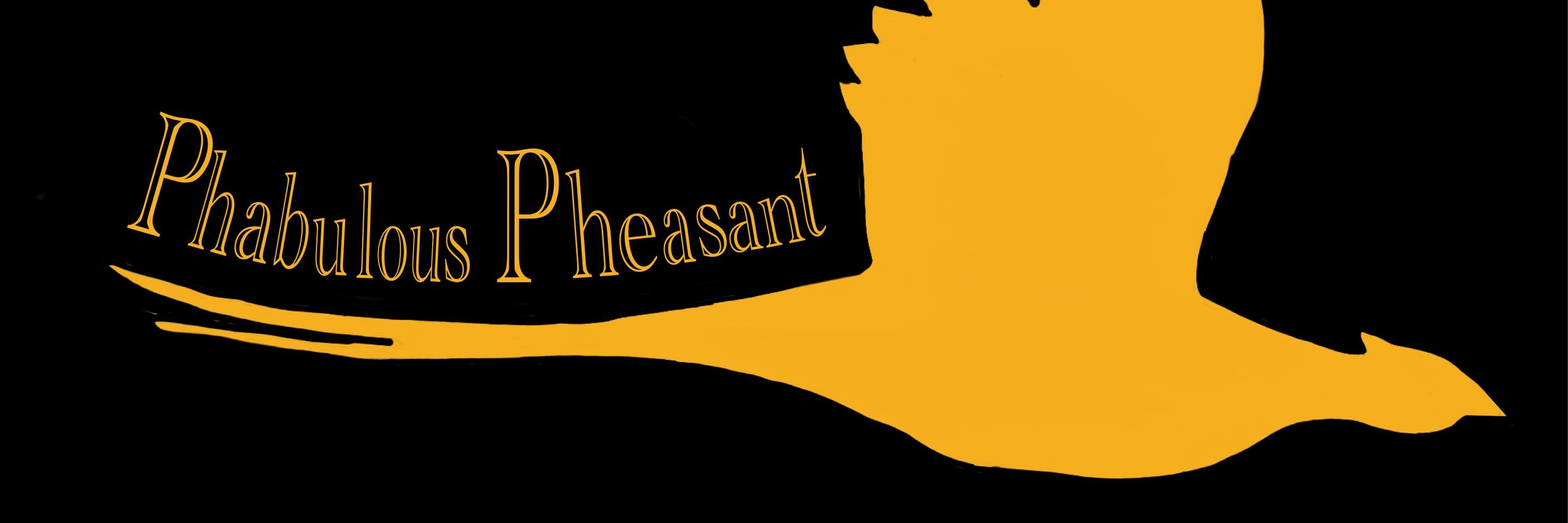 ali_phabulous's profile banner image