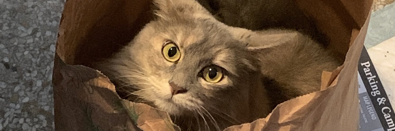 Grantanimor's profile banner image