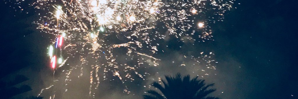 calixta3378's profile banner image