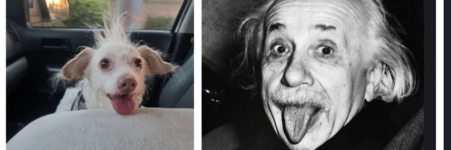 🌟✝️ Deus X Mushina ✝️🌟 banner