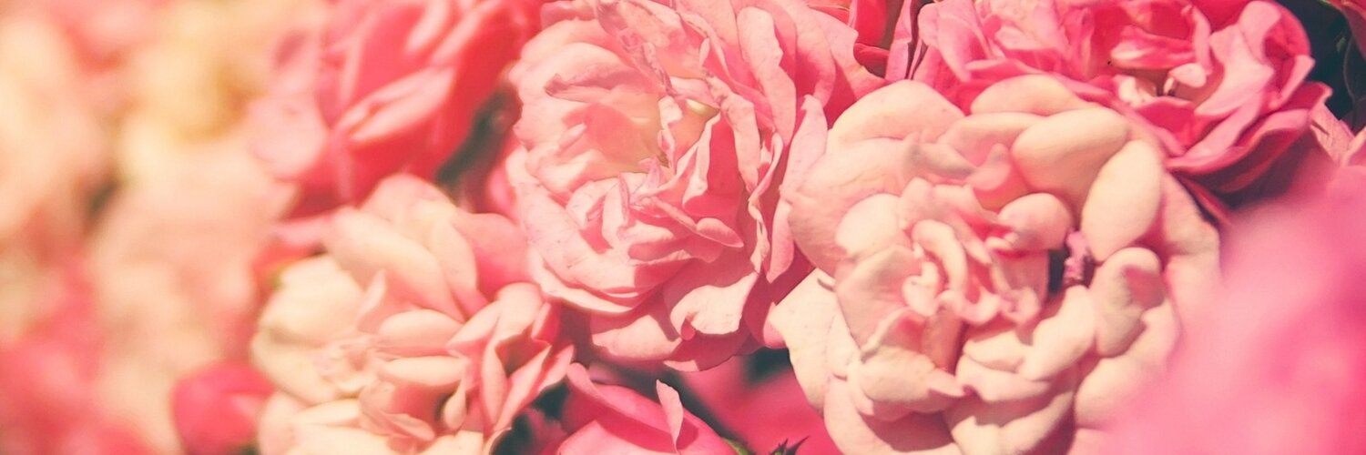 waka___meee's profile banner image
