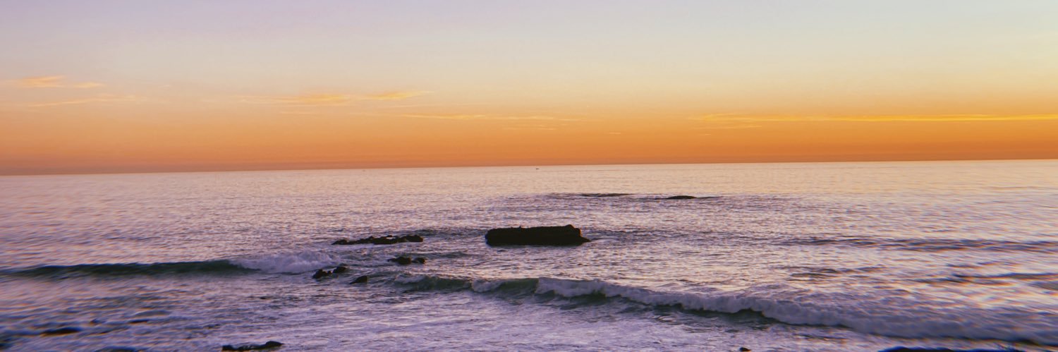 MaliaCarr's profile banner image