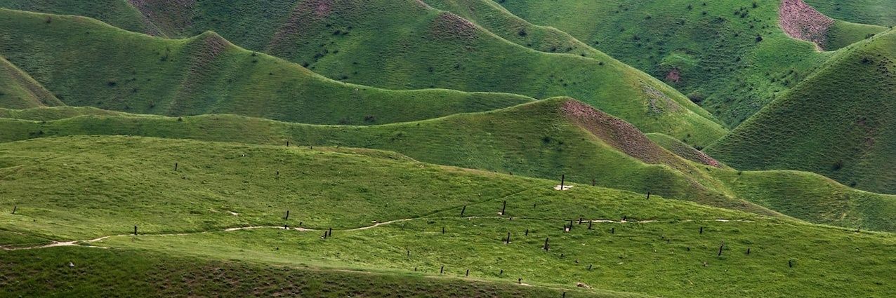 Mμhammad 🇮🇷 banner