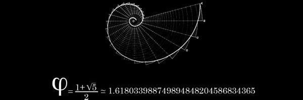 MATT seu cachoro 🐶 banner