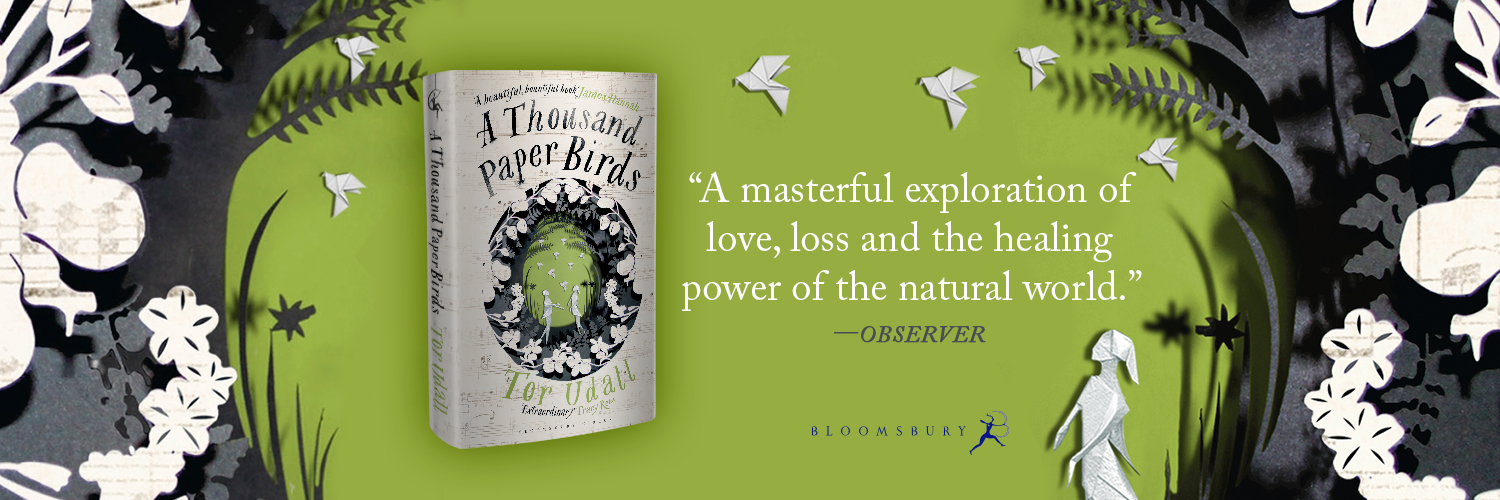 Tor Udall 💙 banner