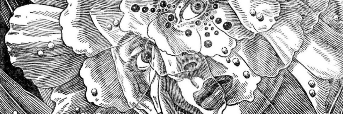 33addiii3's profile banner image