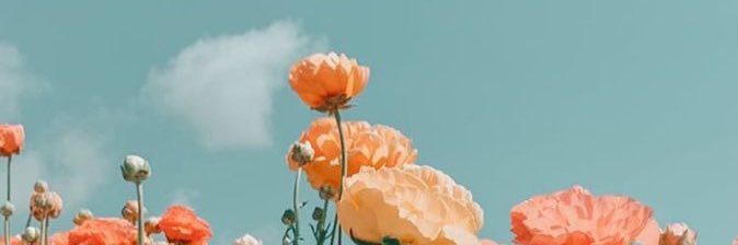 celtikzade's profile banner image