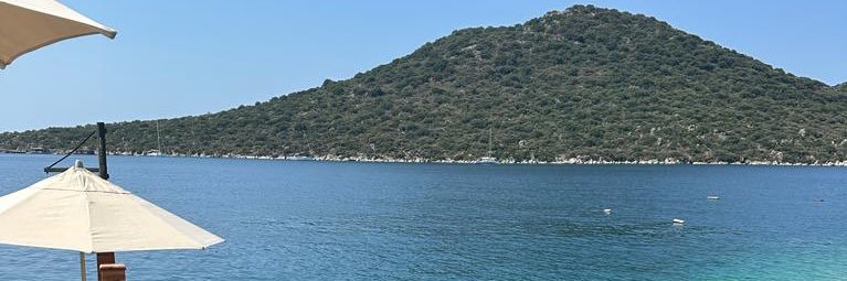 Prof. Dr. Mehmet Emin Birpınar banner