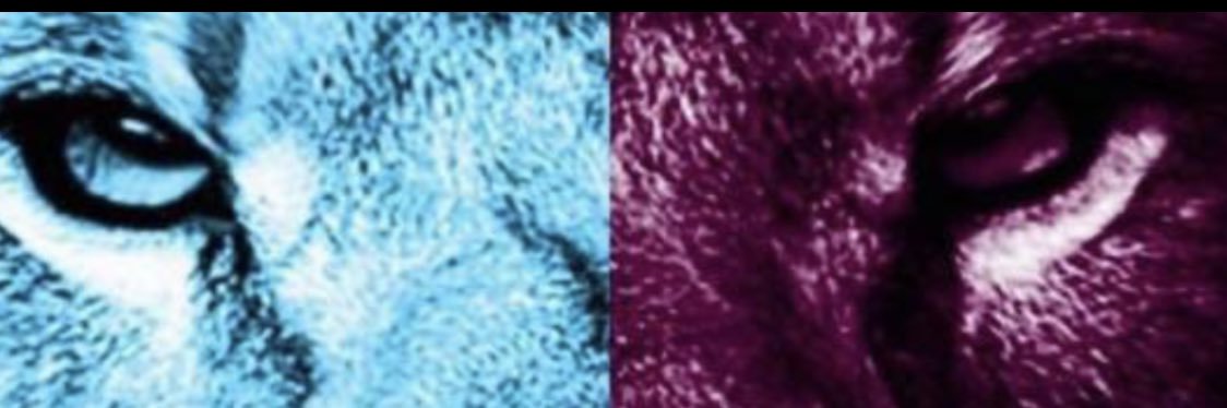 Weeman78AVFC's profile banner image