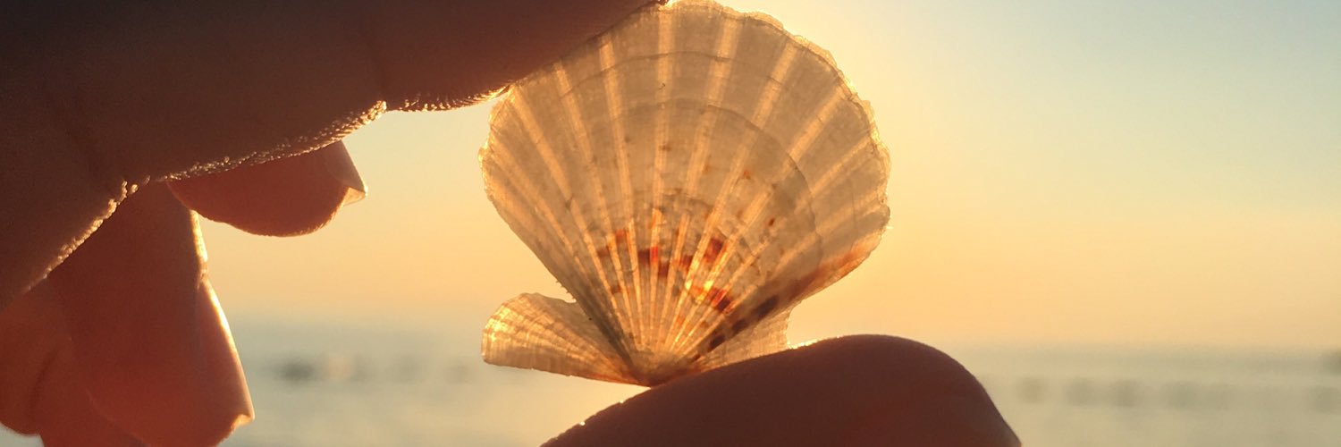 ozlemmbilgee's profile banner image