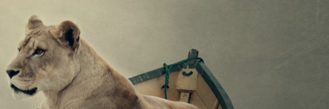 jrmorada's profile banner image