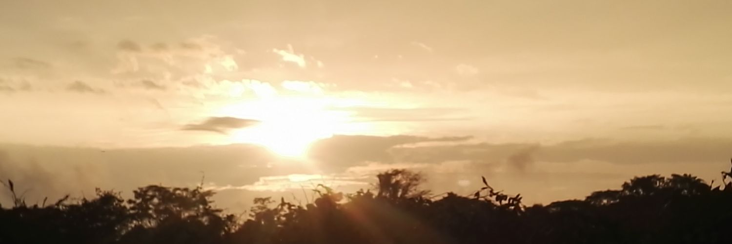 snitches0's profile banner image
