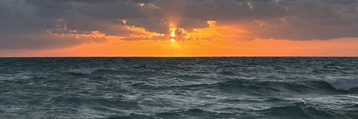 nattortizz's profile banner image