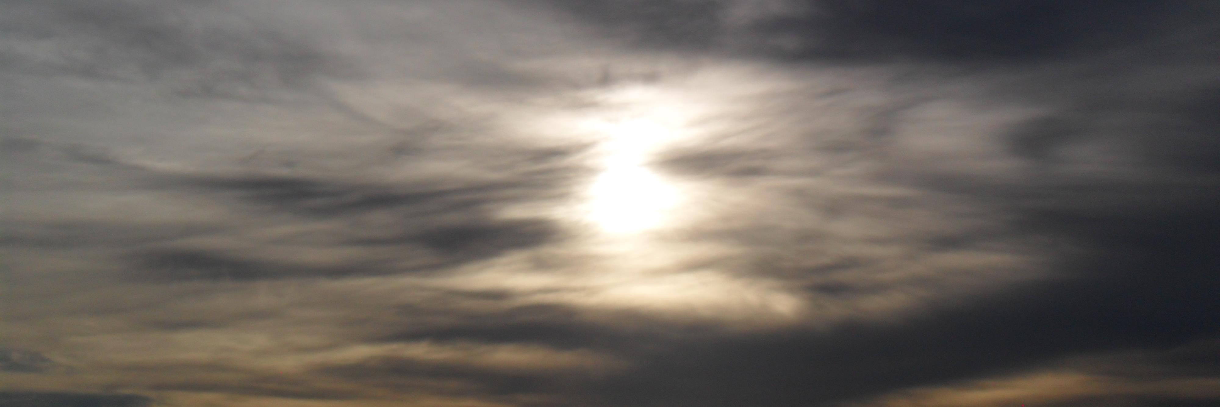 SharonHanch's profile banner image