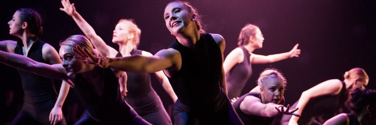 CP_Orchesis's profile banner image
