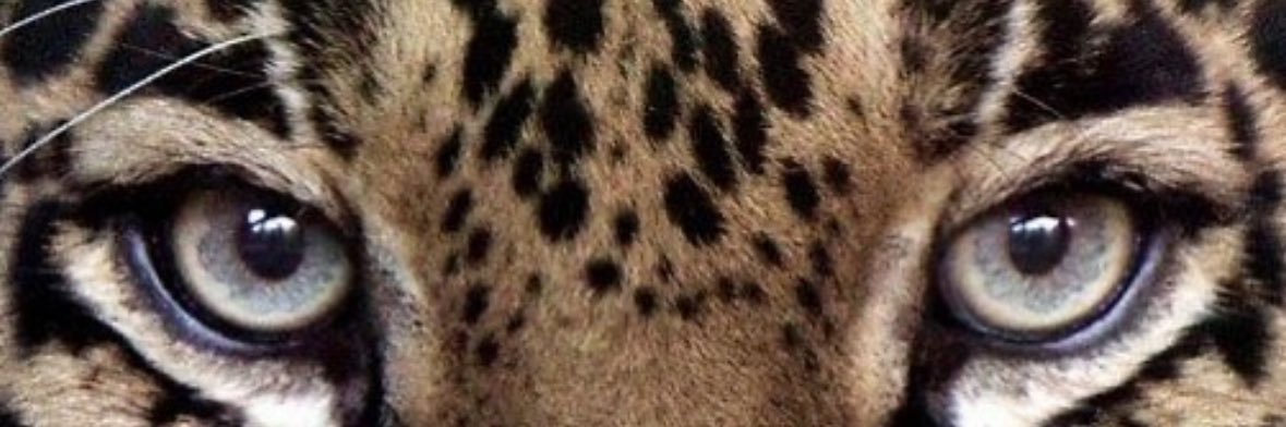 __Sarabdullah's profile banner image