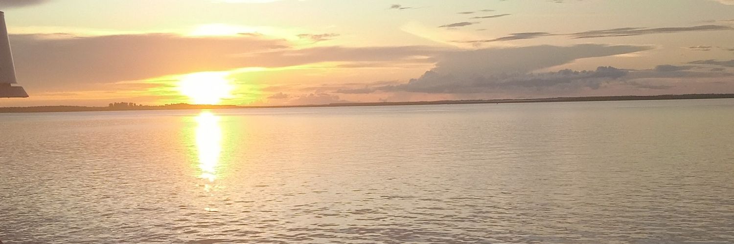 alesaesquerdo's profile banner image