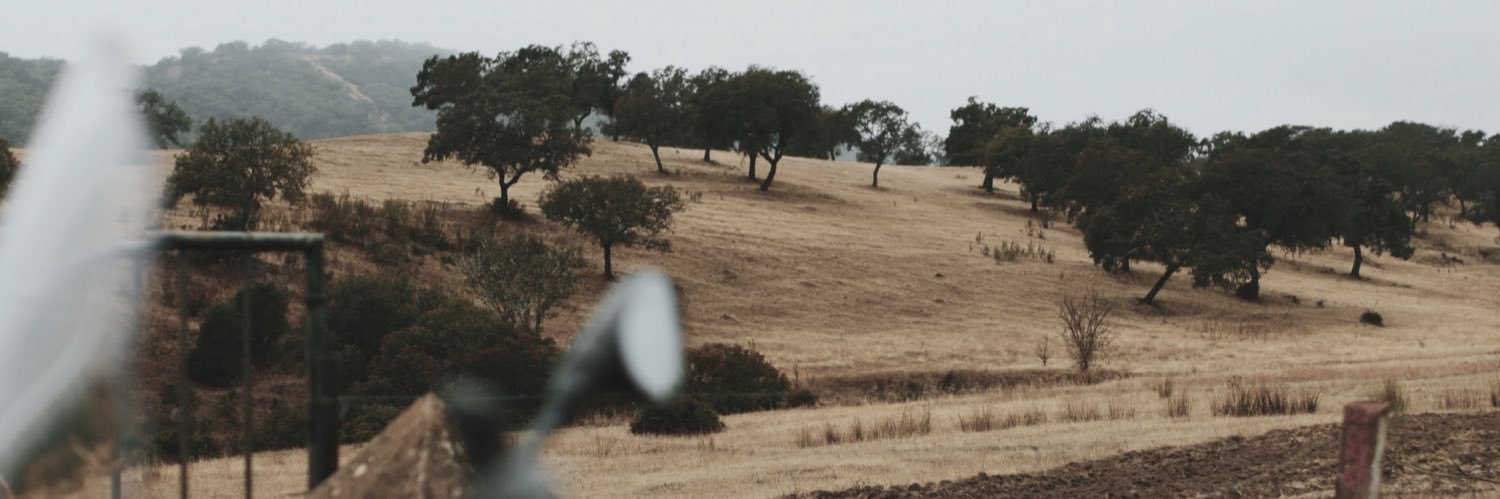 DanielJL8's profile banner image