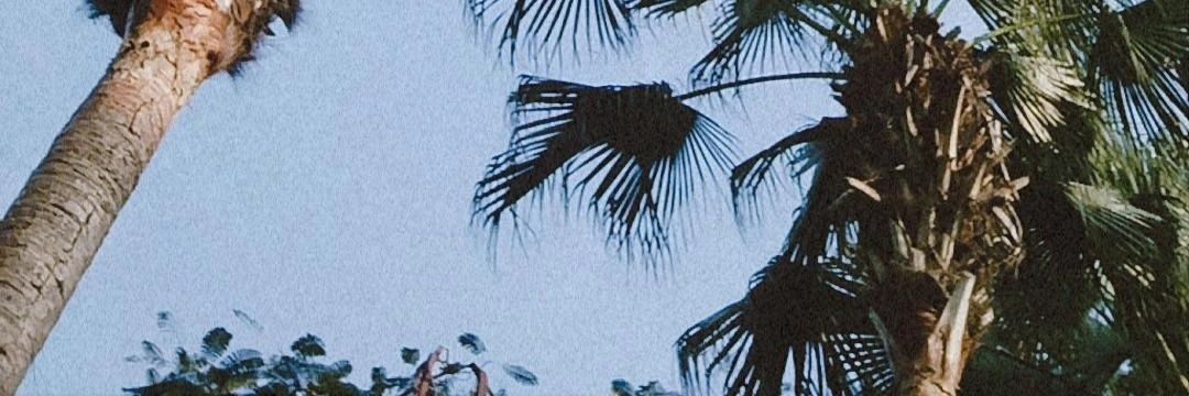 KellyBozaQ's profile banner image