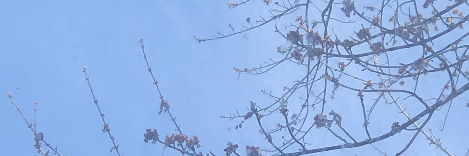 Obviously_Tasha's profile banner image