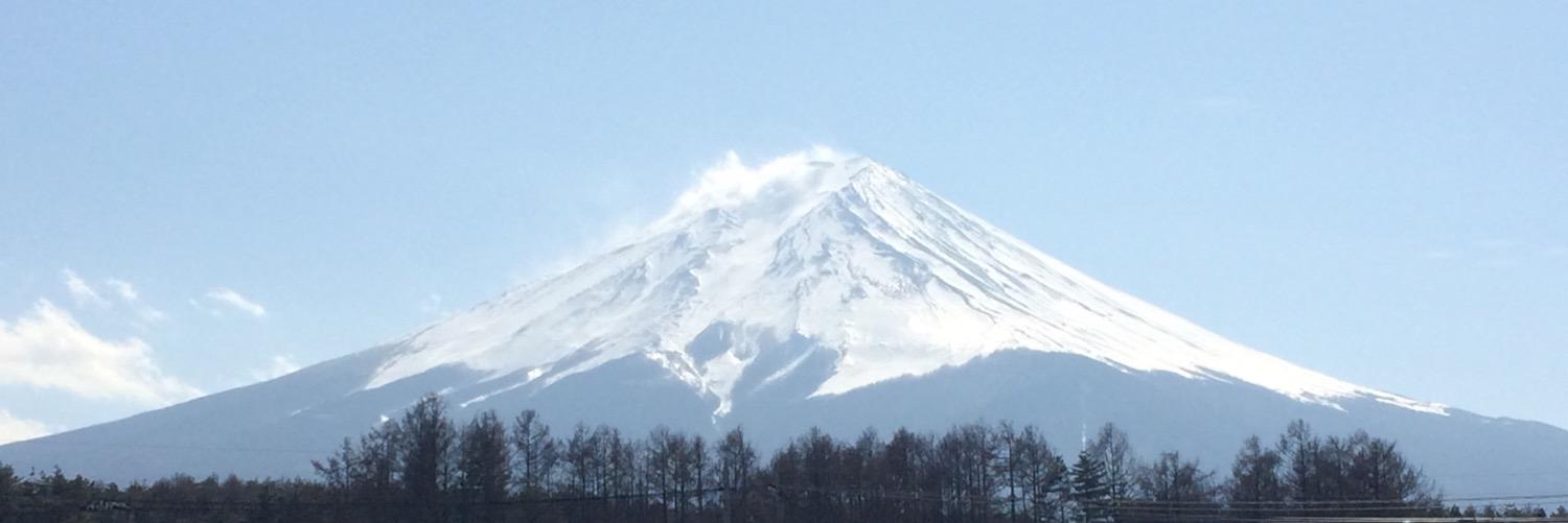 Michael Sinatra banner