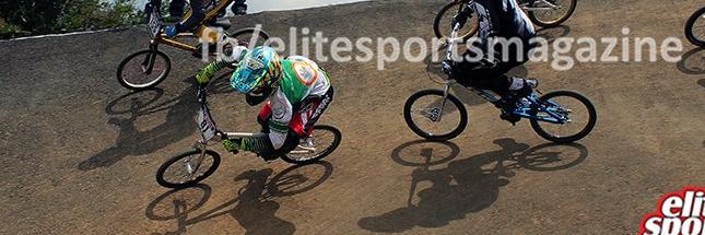 David duque banner
