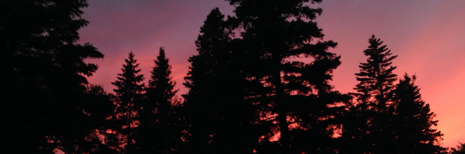 Jilly_Pants's profile banner image