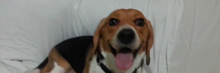 Betzygc's profile banner image
