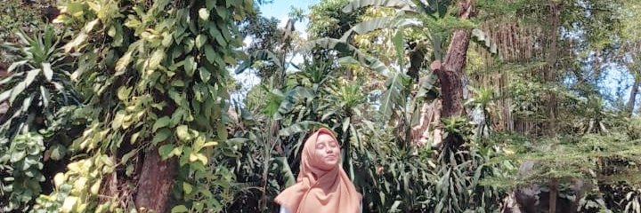 erakeciL's profile banner image