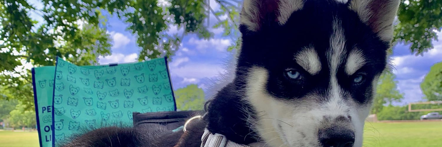 drewlegacy_'s profile banner image