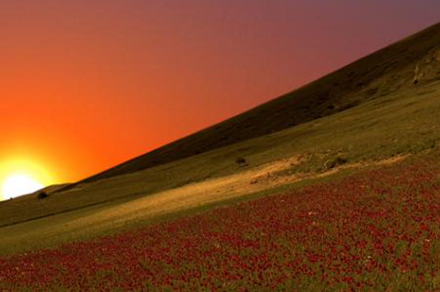 joumul's profile banner image