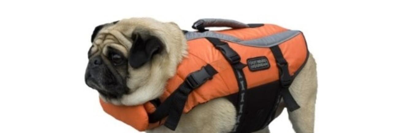 Cates Holderness banner