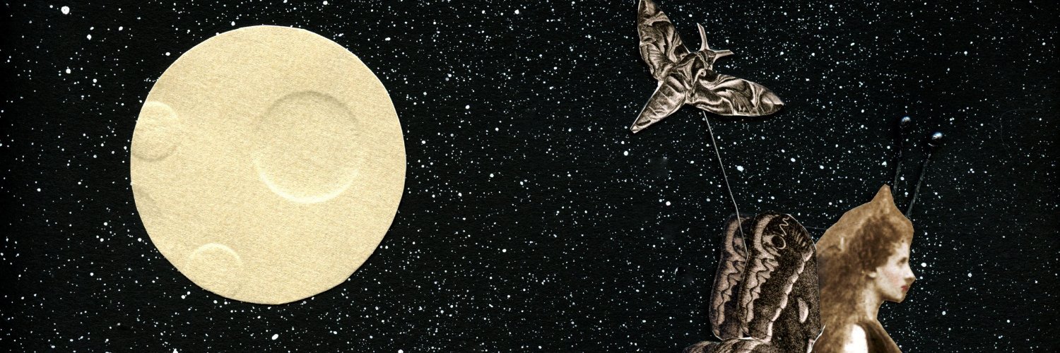 WinonaCookie's profile banner image