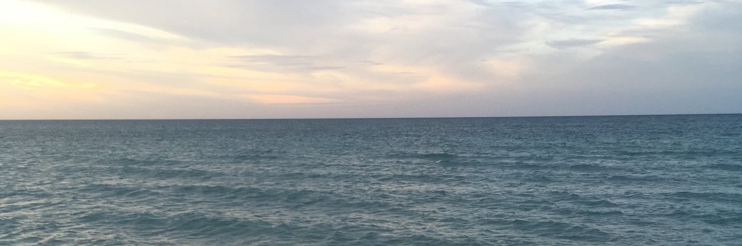 MannuelAv's profile banner image