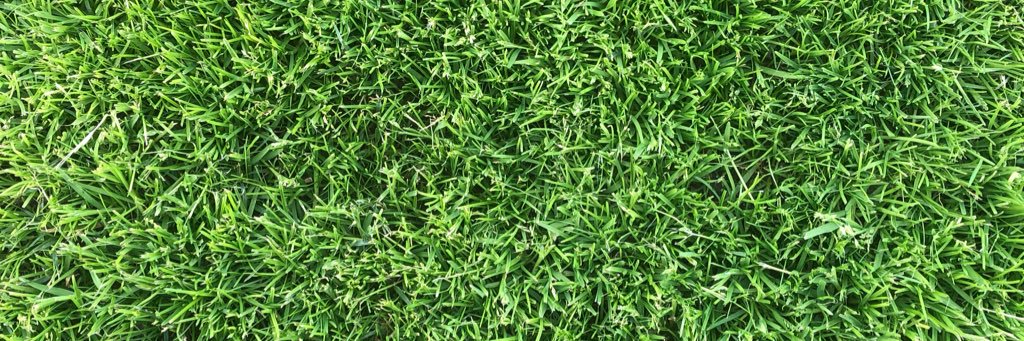 Maxi Rodriguez banner