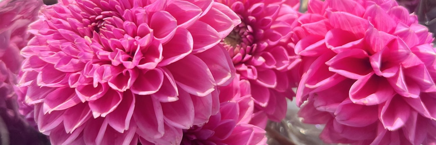 Breannaa_T's profile banner image